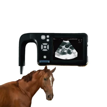 Лошади, выпуклый ректальный ультразвуковой ветеринарный сонар, портативный ультразвуковой аппарат для животных для ветеринарного применения, лошадь, крупный рогатый скот, кошка